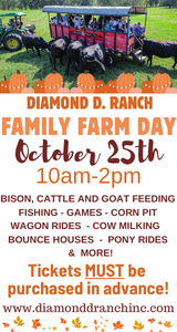 Diamond D Ranch Fall 